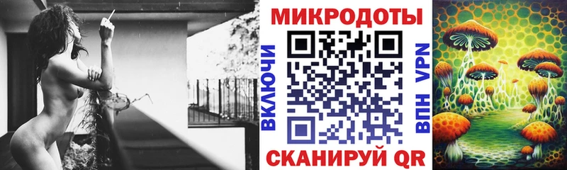 закладка  Карасук  Псилоцибиновые грибы мухоморы 